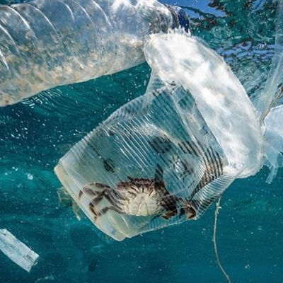 মাটি ও জল উল টেস্টিং ল্যাব শিক্ষা জৈবিক দূষণ কর্তৃপক্ষ তৃতীয় পক্ষের প্রমাণীকরণ পরিষেবা