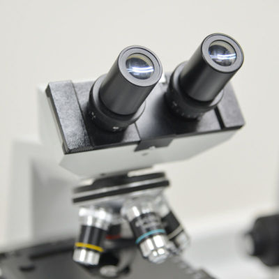 ইলেক্ট্রন মাইক্রোস্কোপ ইলেকট্রনিক্স টেস্টিং ল্যাবস বিজনেস এসএএ আরসিএম থার্ড-পার্টি টেস্টিং এবং প্রমাণীকরণ পরিষেবা