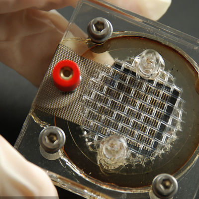 আইএসও সিই ল্যাব সার্টিফিকেশন পরিষেবা GTS ইলেকট্রিক রেজার তৃতীয় পক্ষের প্রমাণীকরণ পরিষেবা