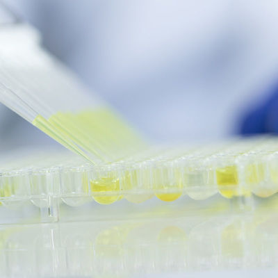 ফুড গ্লাস টেস্টিং ল্যাব পরিষেবা